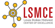 LSMCE logo