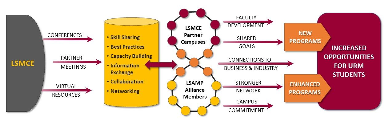 A model of LSMCE schema.